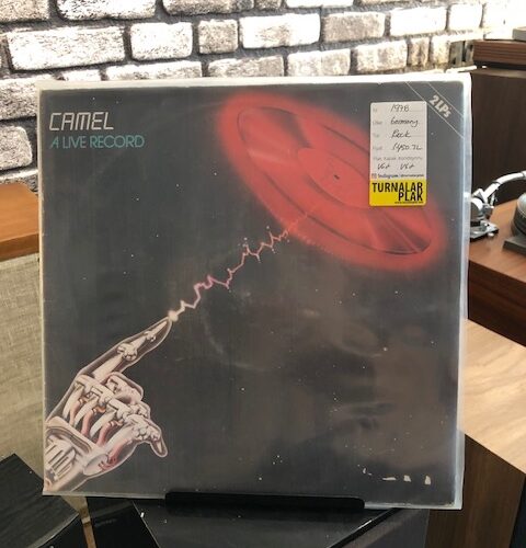 camel-a-live-record