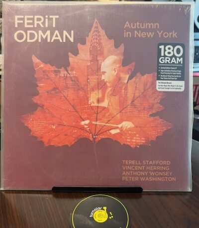ferit-odman-autumn-in-new-york
