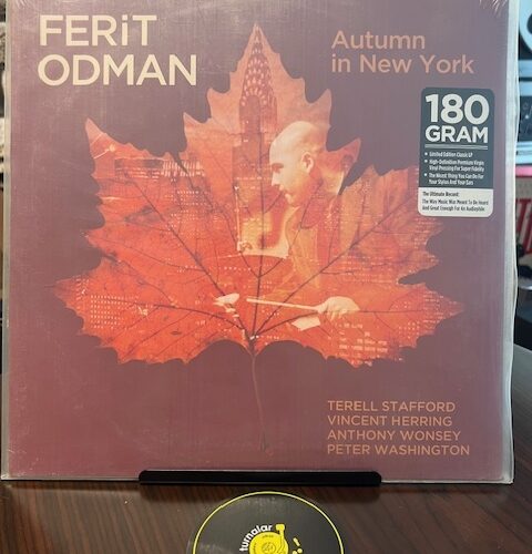 ferit-odman-autumn-in-new-york
